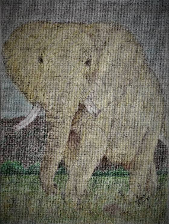 Image of Elephant on Canvas