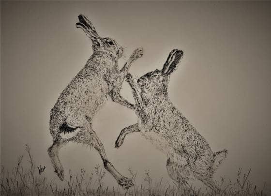 Image of Hares