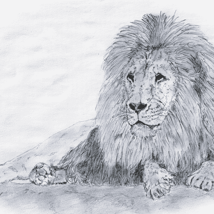 Image of Lion