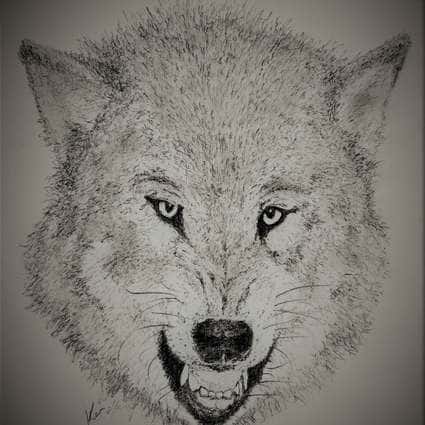 Image of Wolf